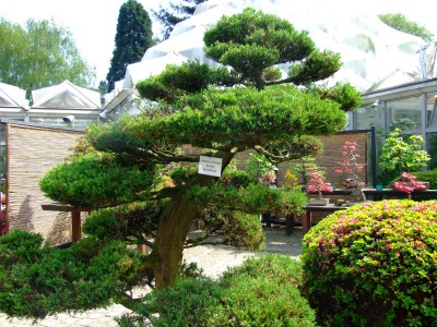 DSCF1807.jpg