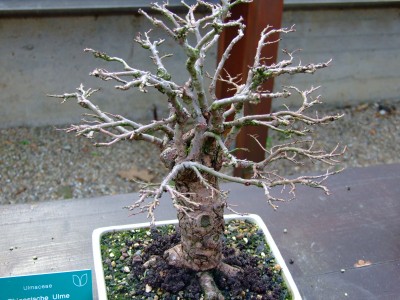 DSCF1802.jpg