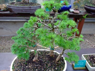 DSCF1801.jpg