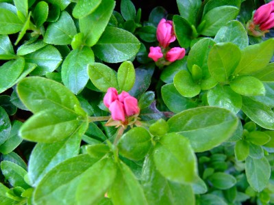 DSCF1799.jpg
