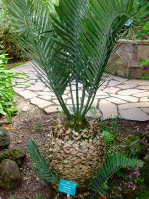 DSCF1826.jpg