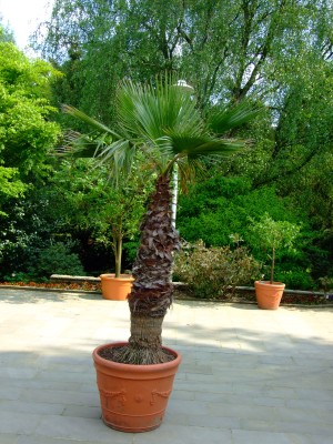 DSCF1817.jpg