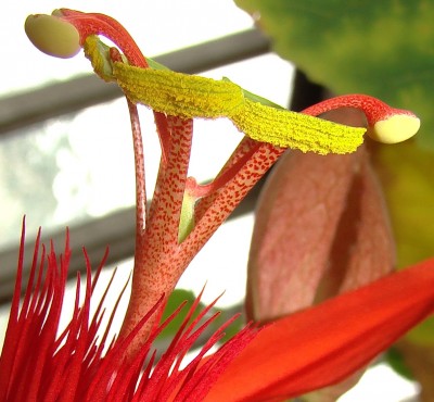 08.04.2009 makro1.jpg