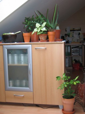Bild 087_576x768.jpg