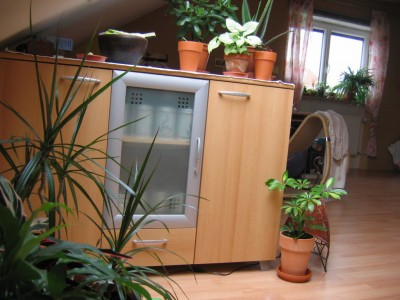 Bild 086_1024x768.jpg