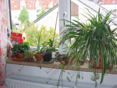 Bild 081_1024x768.jpg
