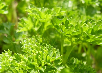 DSCI0021 - Kopie.JPG