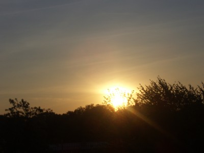 bla 011.jpg