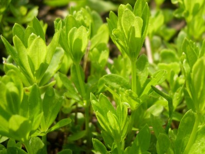 DSCI0020 - Kopie.JPG