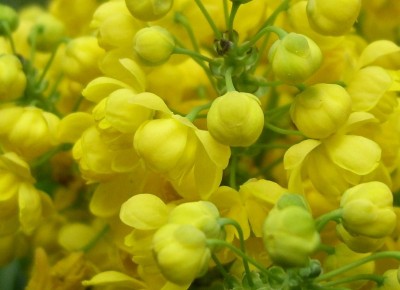 DSCI0026 - Kopie.JPG