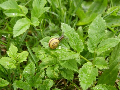 DSCI0035 - Kopie.JPG