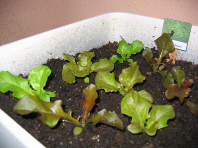 Bild 058_1024x768.jpg