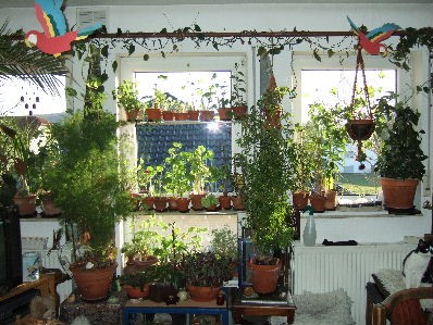 DSCF5727.JPG