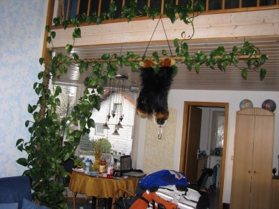 20090420_efeutute_002.jpg