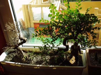 P1010034.JPG