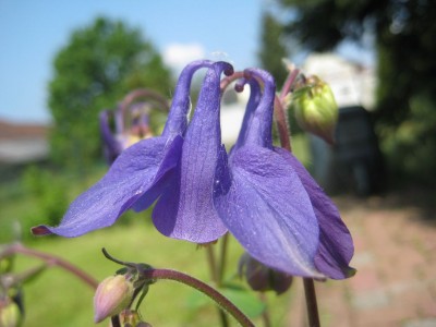 k-IMG_3804.JPG