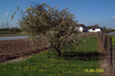 Ohne Titel-02.jpg