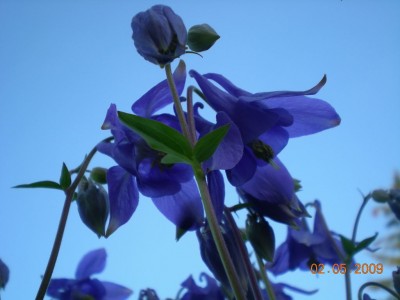 DSCN39340001.JPG