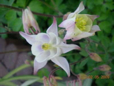 DSCN39320001.JPG
