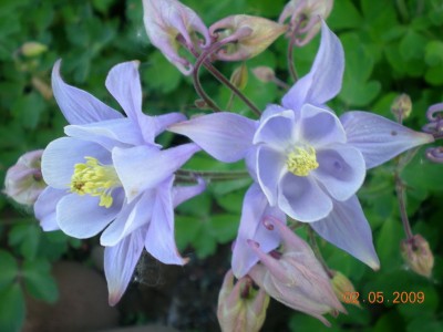 DSCN39310001.JPG