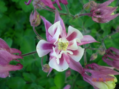 DSCN39300001.JPG