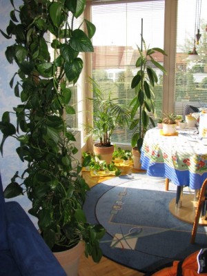20090502_umtopfaktion_008.jpg