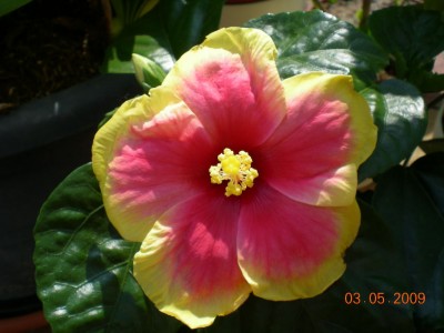 DSCN39360001.JPG