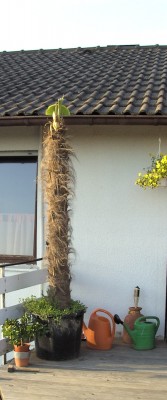 BILD0469.JPG