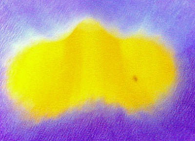 zauberhaft bei Gegenlicht.JPG