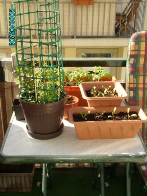 PICT0033.JPG