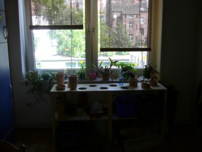 P1090007.JPG