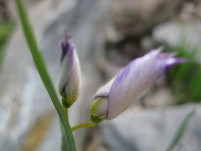 IMG_5356.JPG