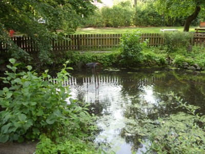 2358.jpg