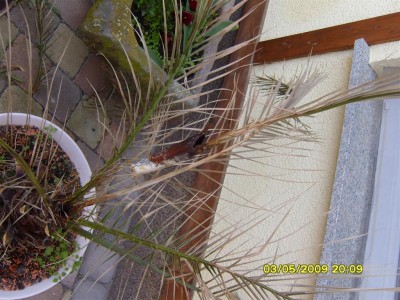 S1033627 (Large).JPG