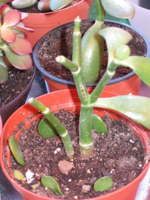 Bild 112_360x480.jpg