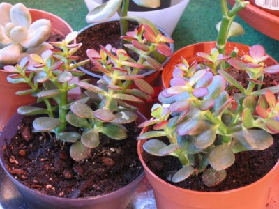 Bild 111_640x480.jpg