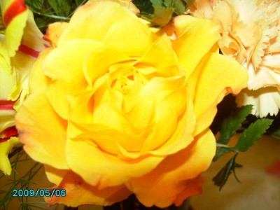 PICT0052.JPG