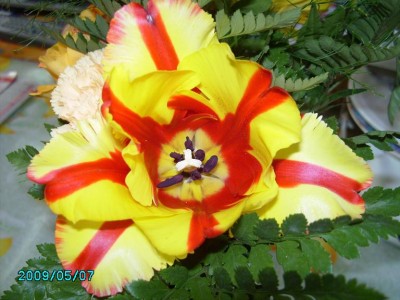 PICT0086.JPG