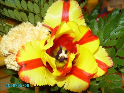 PICT0055.JPG