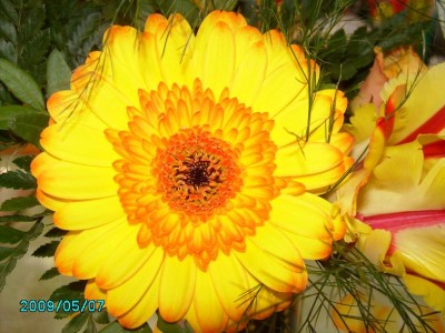 PICT0088.JPG