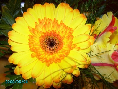 PICT0050.JPG