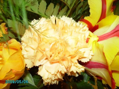 PICT0056.JPG