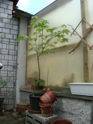 DSC01369.jpg