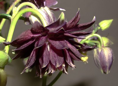 07.05.09 barlow at night2.jpg