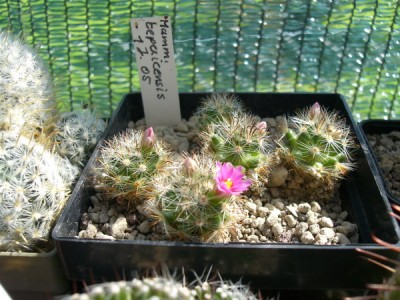 CIMG5464_Bildgröße ändern.JPG