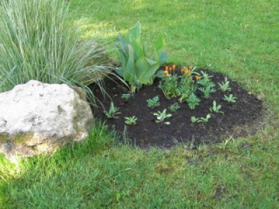 PICT0006.JPG