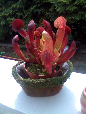 moto_0478.jpg