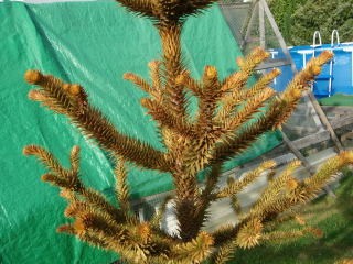 DSCN10620001.JPG