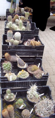 BoGa HD 2009-05-10 058.jpg