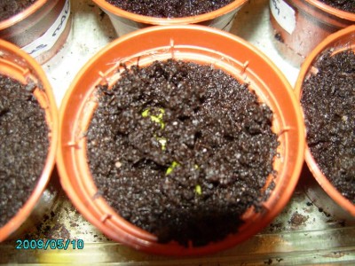 PICT0137.JPG